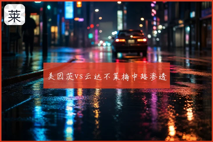 美因茨vs云达不莱梅中路渗透